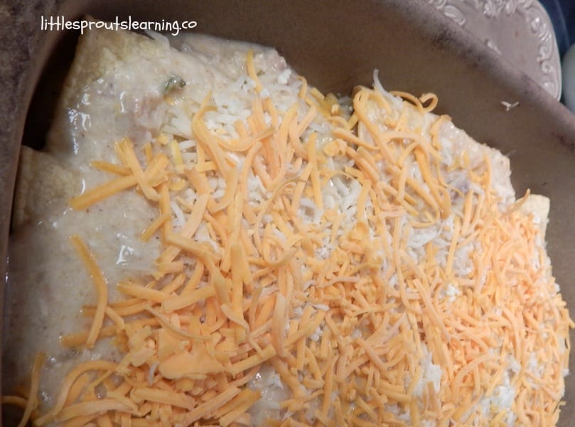 casserole dish full of rolled enchiladas, topped with remaining sauce and shredded cheese.