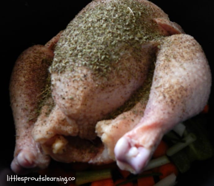 raw chicken covered in seasoning going into the instant pot