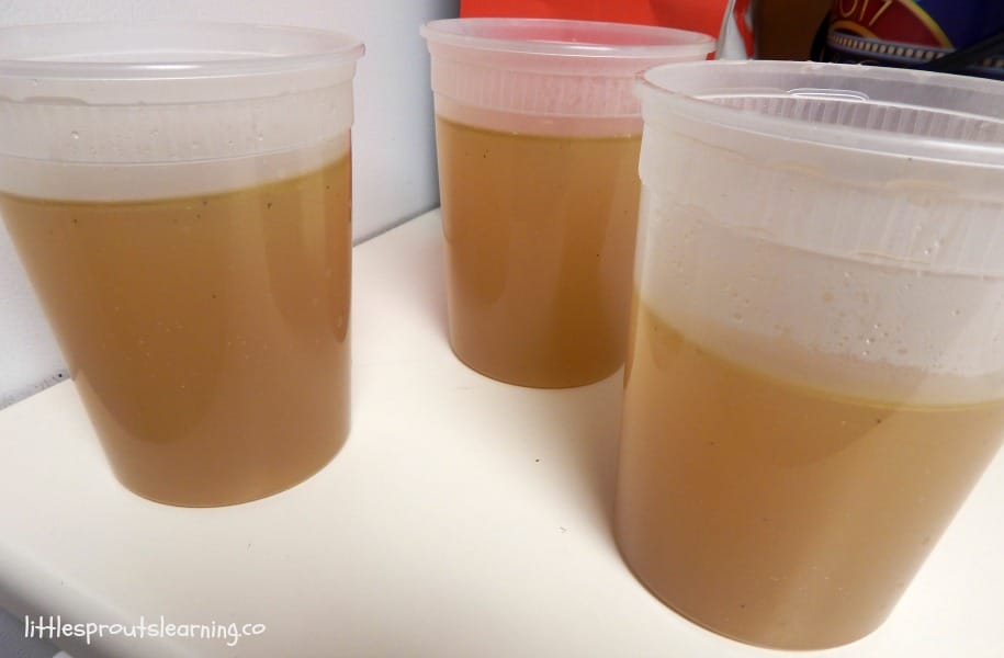 making stock out of leftover chicken, three cartons of fresh bone broth on the counter