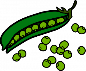 healthy kids fun pack, free printable