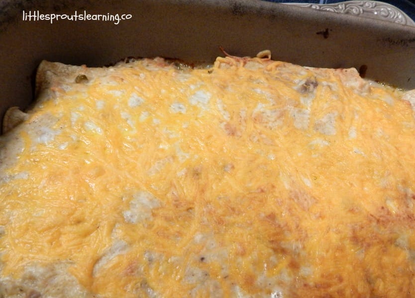Baked chicken enchiladas from leftover chicken