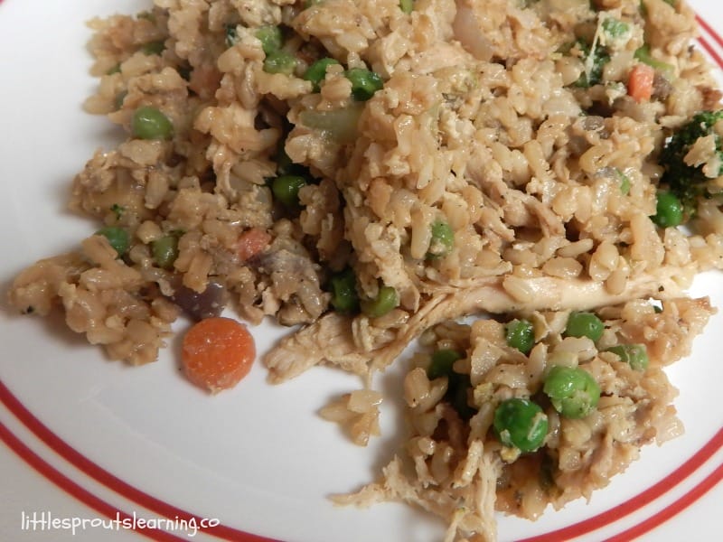 plate full of chicken fried rice