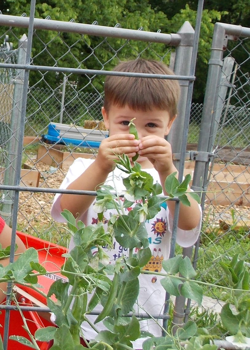 Healthy Kids Fun Pack!