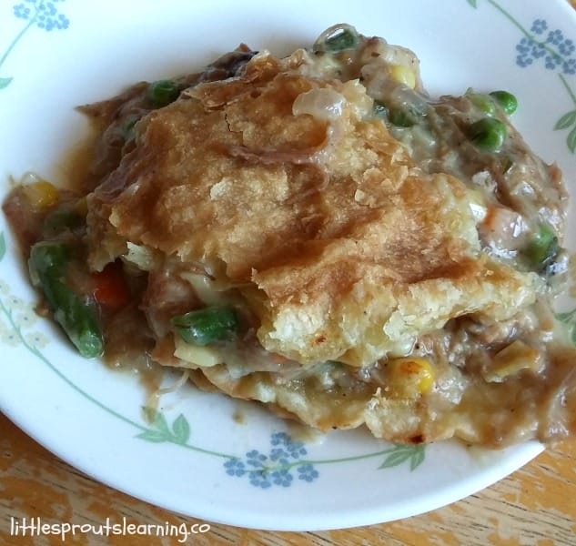 leftover pork roast pot pie, a scoop on a plate.
