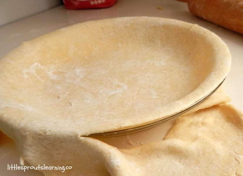 pie crust for pork pot pie