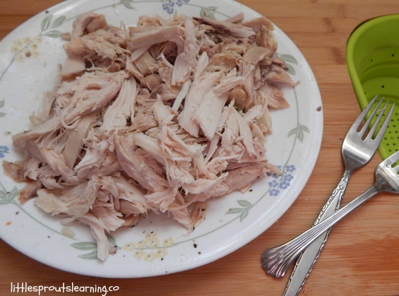 plate full of shredded chicken