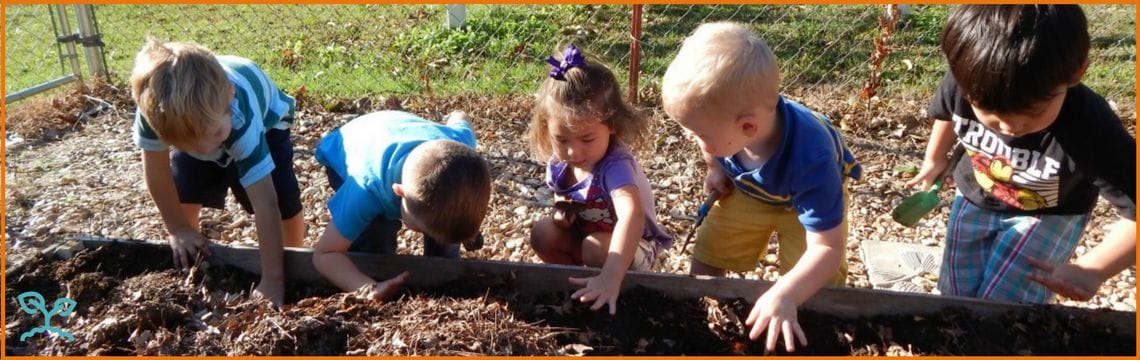 Little Sprouts preschool kids working in their children's garden bed