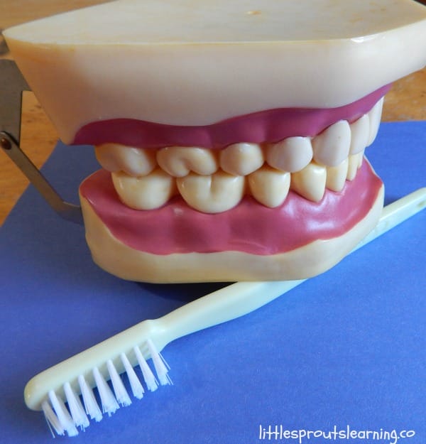 February is dental health month. It can seem like a difficult concept to talk about, but there is a lot you can do to help kids learn how to care for their teeth. Find out more.