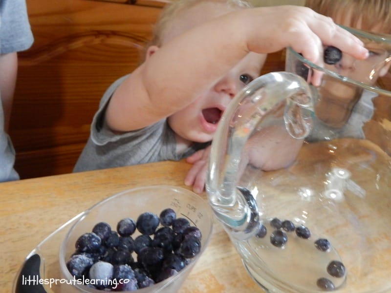 Kids putting blueberries in a pitcher to make blueberry soda.