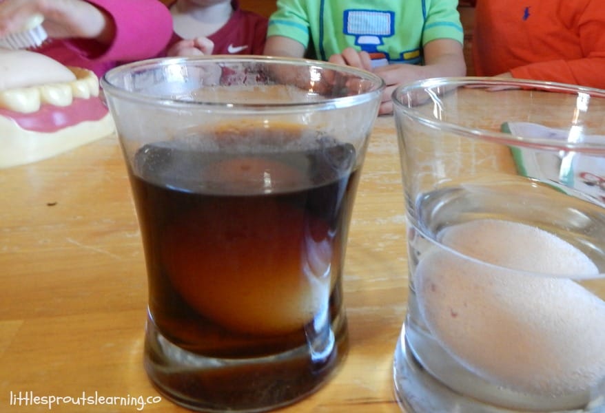 dental health science experiment for kids, egg soaking in soda and egg soaking in vinegar