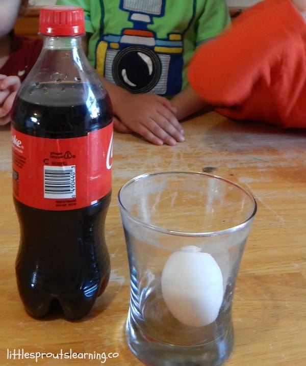 clear glass with an egg inside and a bottle of soda