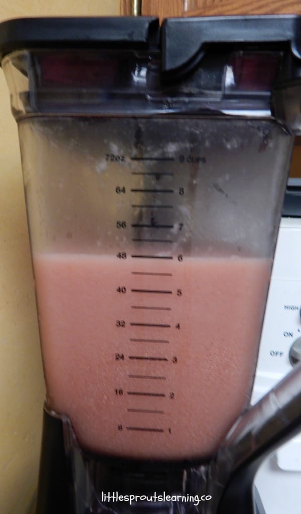 Watermelon lemonade in a blender for party drinks for kids.