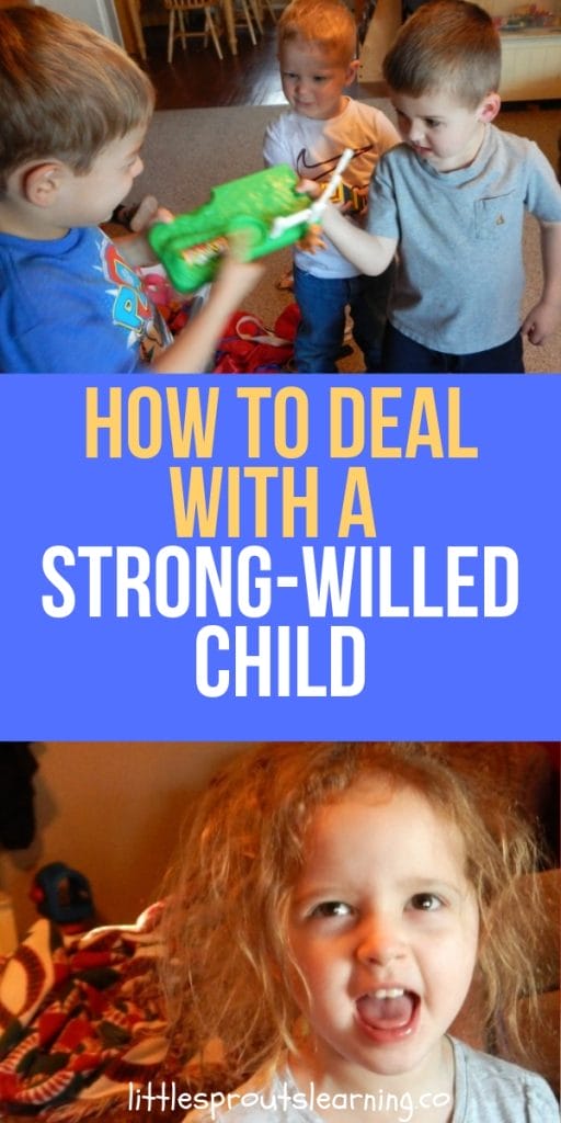 I was a strong-willed child, and I raised one. I know how frustrating it can be to have a battle of the wills with a small child, but there is help!
