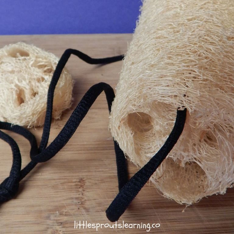 What is a loofah? Where does it come from? What are loofahs good for? The answers might be kind of surprising to you. I was shocked when I learned.