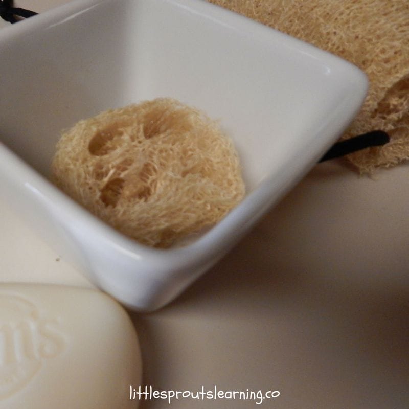 slice of luffa in bottom of soap dish 