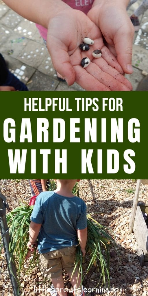 a small child holding a seed in their hand and a child pushing a wheelbarrow full of freshly harvested garlic
