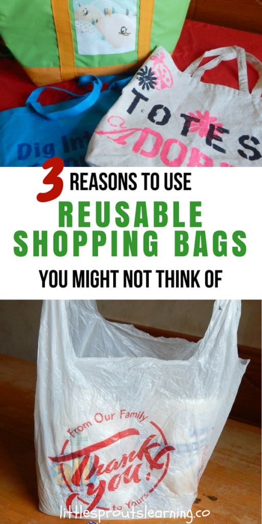 reusable shopping bags and a plastic bag