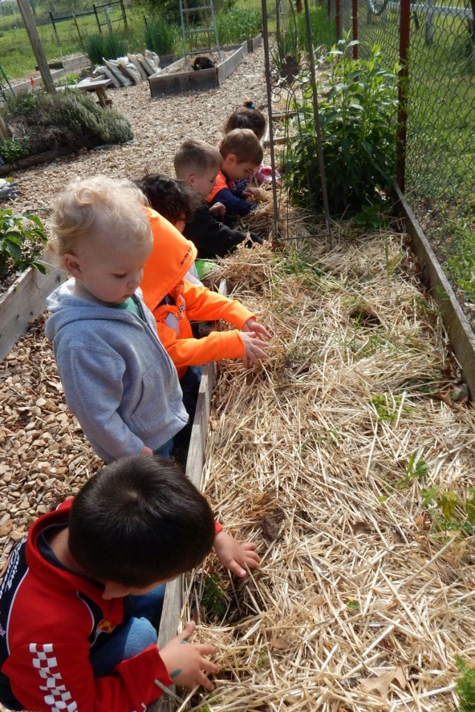 preschoolers planting plants in a sensory garden for kids