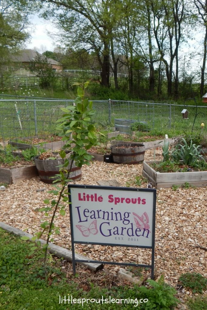 Examples of Home Daycare Space Setups That Will Inspire You