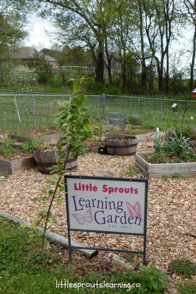 SMALL GARDEN IDEAS: Sometimes it's hard to find enough space to grow everything you'd like to. There are some clever ways to grow more things in a smaller space, or even in your front yard landscaping if you just look for them. How could you find out how to make the most of your space? Check out these small garden ideas to make the most of your vegetable garden space.