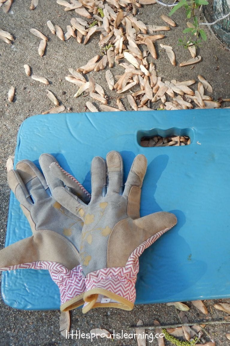 Do you have two black thumbs of death like me? I had no gardening skills, but my preschoolers and I have grown over 3,000 pounds of food!