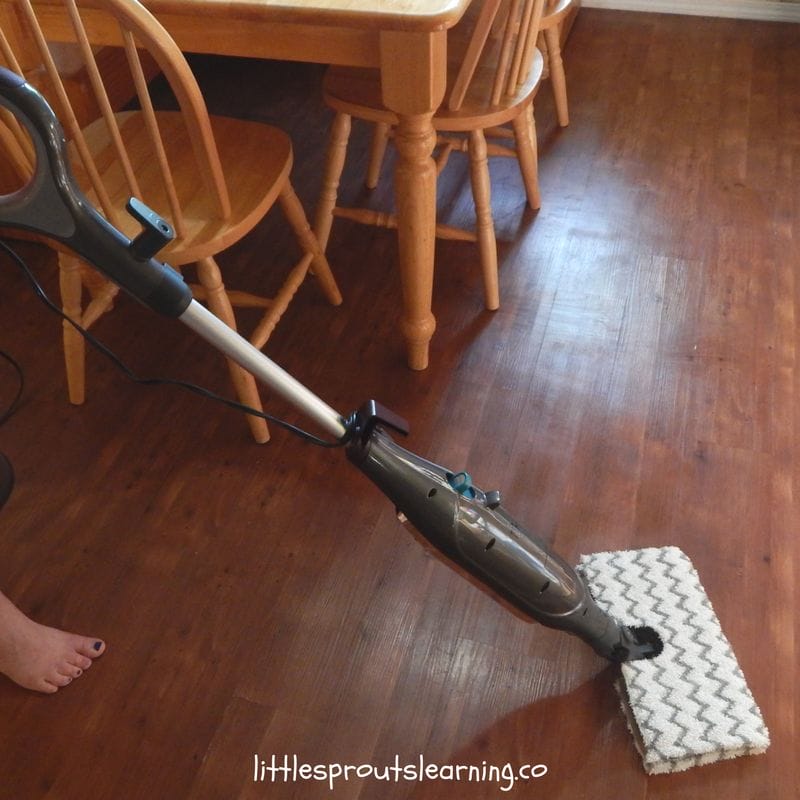 Steam cleaner on wood floor.