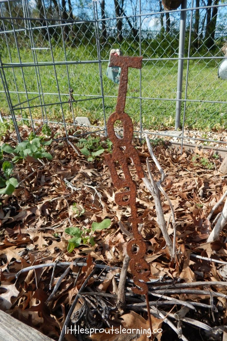 Tomato garden plant marker cut out of metal in the garden bed