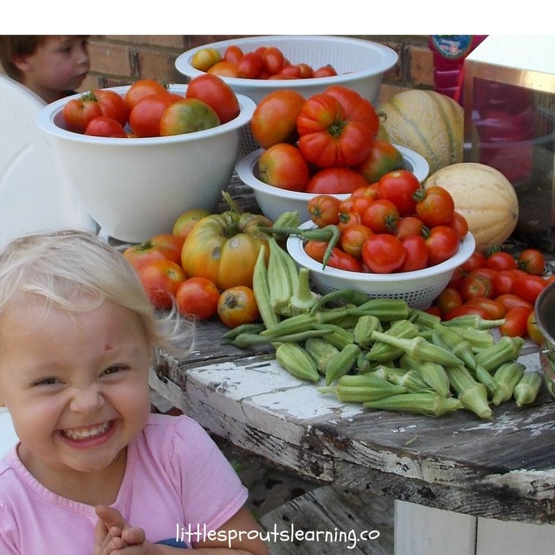 child smiling with excitement in front of table full of fresh picked homegrown tomatoes, canteloupe, and okra