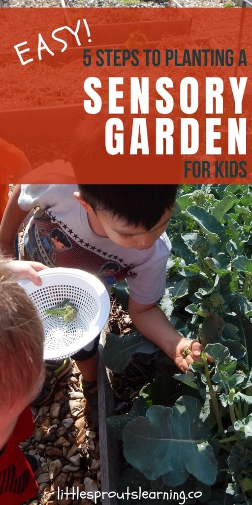 Kids need sensory stimulation for development. Planting a sensory garden for kids is a great way to meet that need! And they can help!