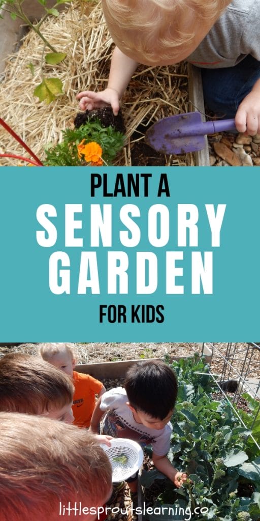 Child planting a marigold plant in the garden and kids planting vegetables in a raised bed.