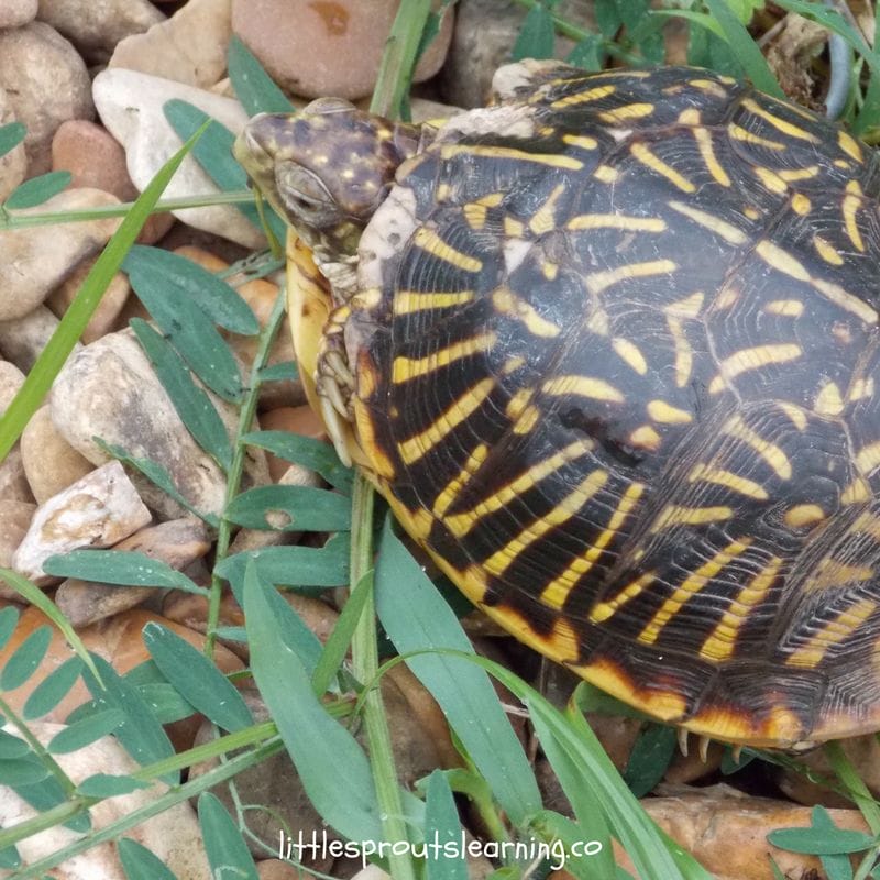 Do you know the phenomenon of the last hour of work in childcare everyday feeling like it drags on for hours on end? Ugh!