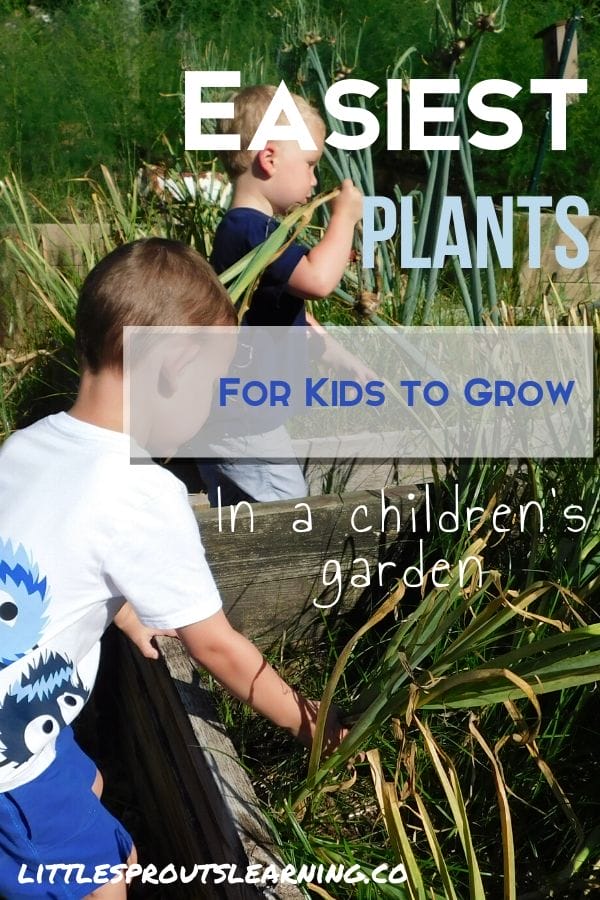 What are the easiest plants for kids to grow? There are a few things that grow fast or are foolproof for the children's garden (and yours).