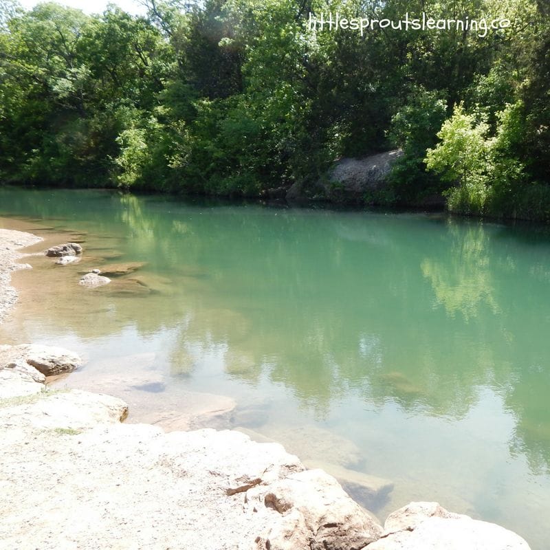 flat rocks and water surrounded by trees. Chickasha national park. 