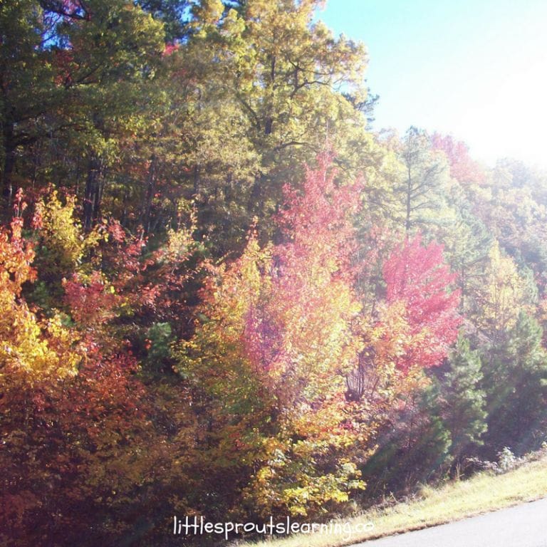 Don’t you just LOVE a good road trip? There are some really amazing places that you can discover on Oklahoma road trips just a few minutes or hours from home.