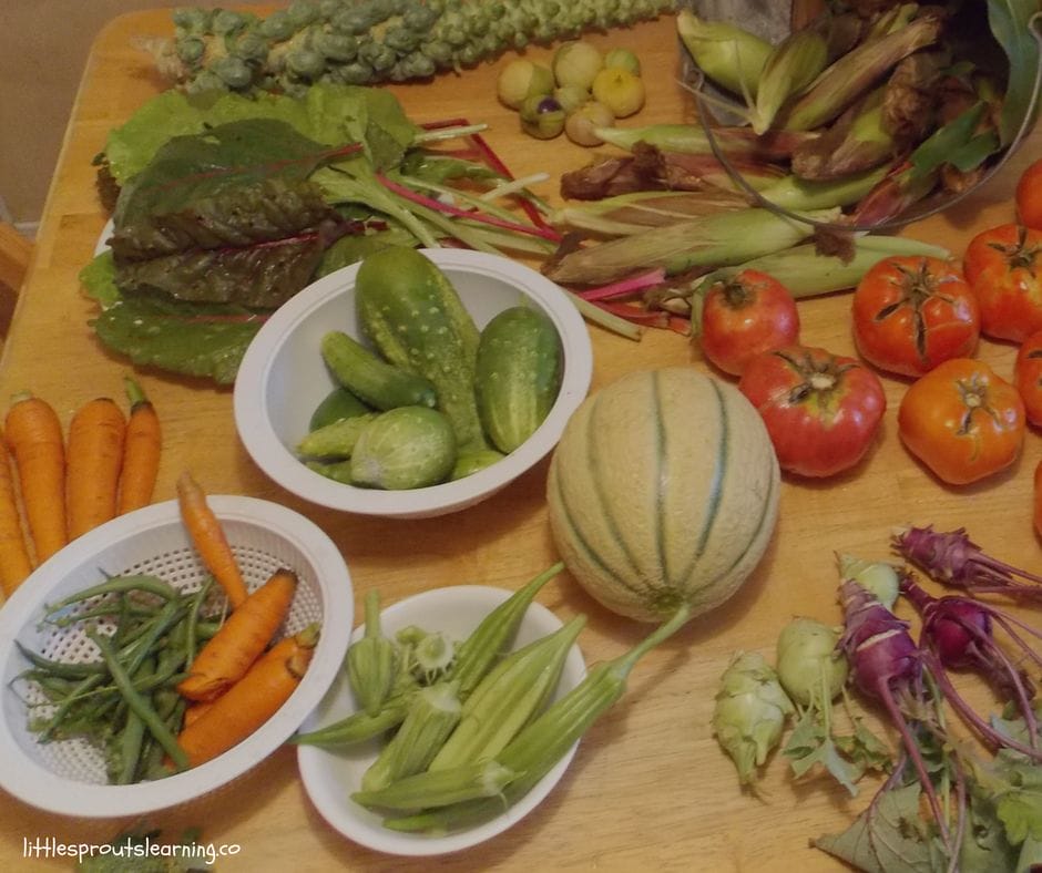 fruits and vegetables from the garden laid out on the kitchen table