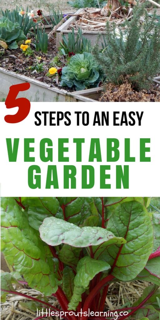 5 Steps to an Easy Vegetable Garden