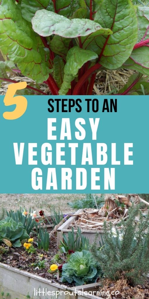 swiss chard in the vegetable garden and cabbages in the flowerbed.