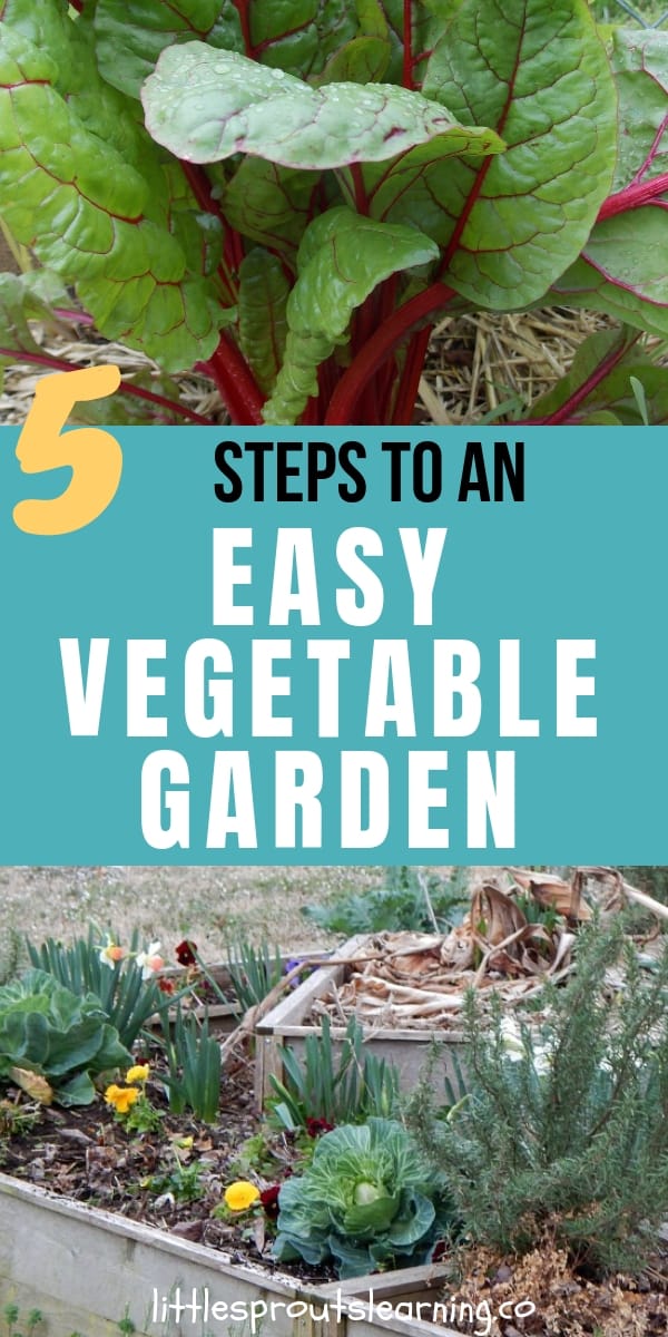 How to Start a Vegetable Garden for Beginners: Easy Tips