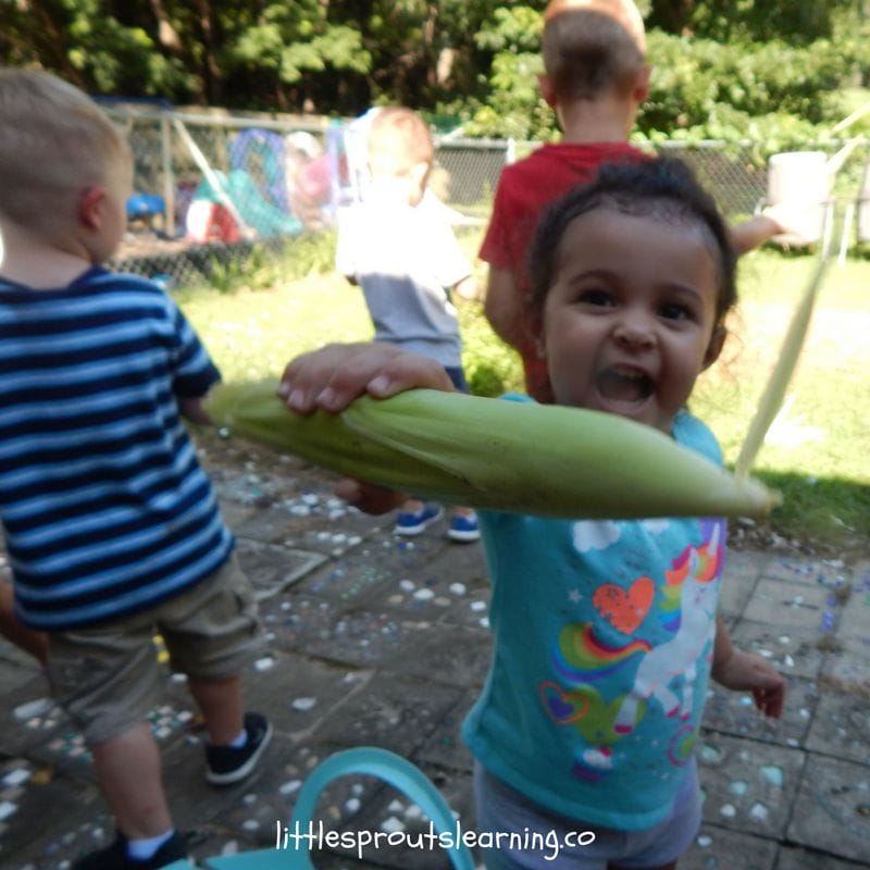 kids gardening shucking corn