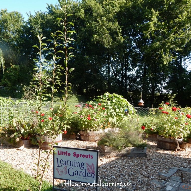 There are lots of great ways to save money in your garden. With some creativity and style, you can garden on the cheap AND get food!