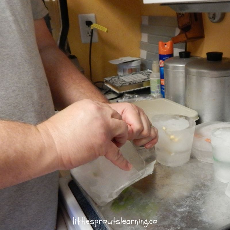 unmolding frozen ice blocks with plastic dinosaurs for dinosaur party fun