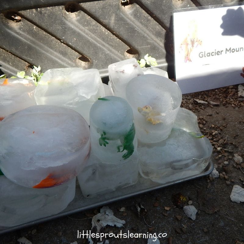 pan full of dinosaur glaciers for kids dinosaur party