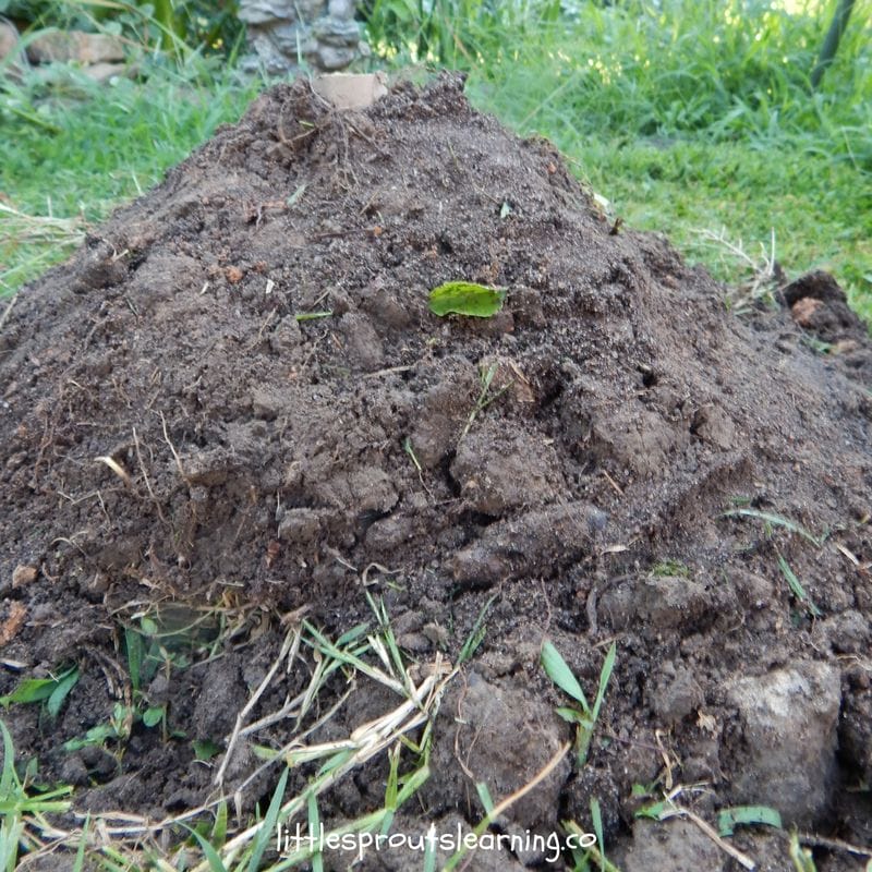 dirt volcano for dinosaur science activity