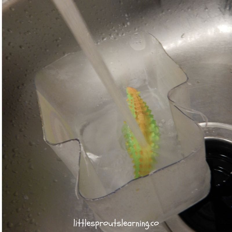 freezing plastic dinosaurs into ice blocks for kids dinosaur party