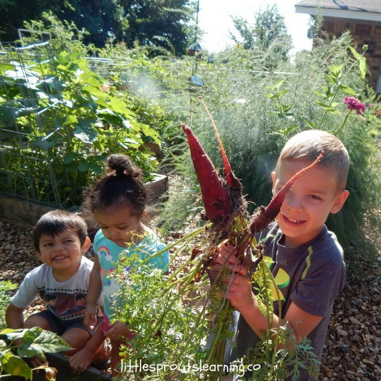 The garden has opportunities for kids to learn, but there are more benefits than we realize. There are a ton of sensory benefits of gardening with kids.