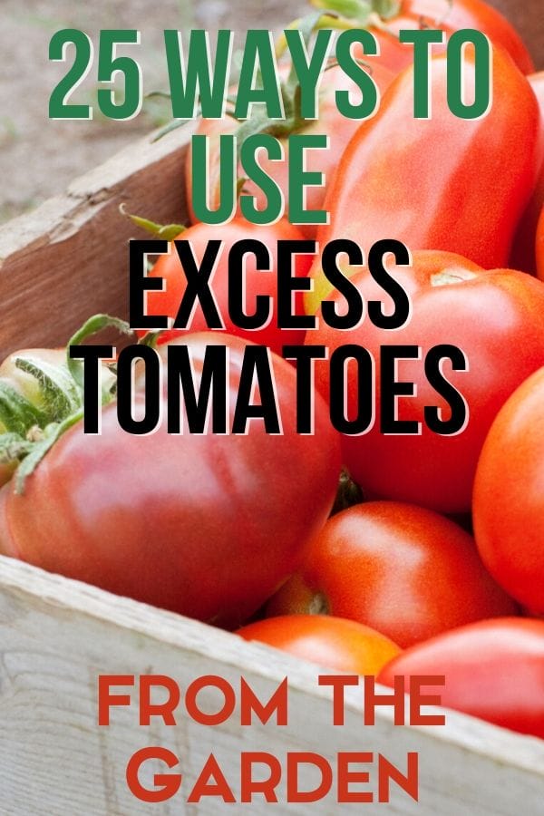There’s that certain time of the year when produce from your garden is drowning you from every side. What do you do with all the excess tomatoes your garden produces? You know in a few months, you’ll be longing for those delicious home-grown tomatoes again and they will be nowhere near.