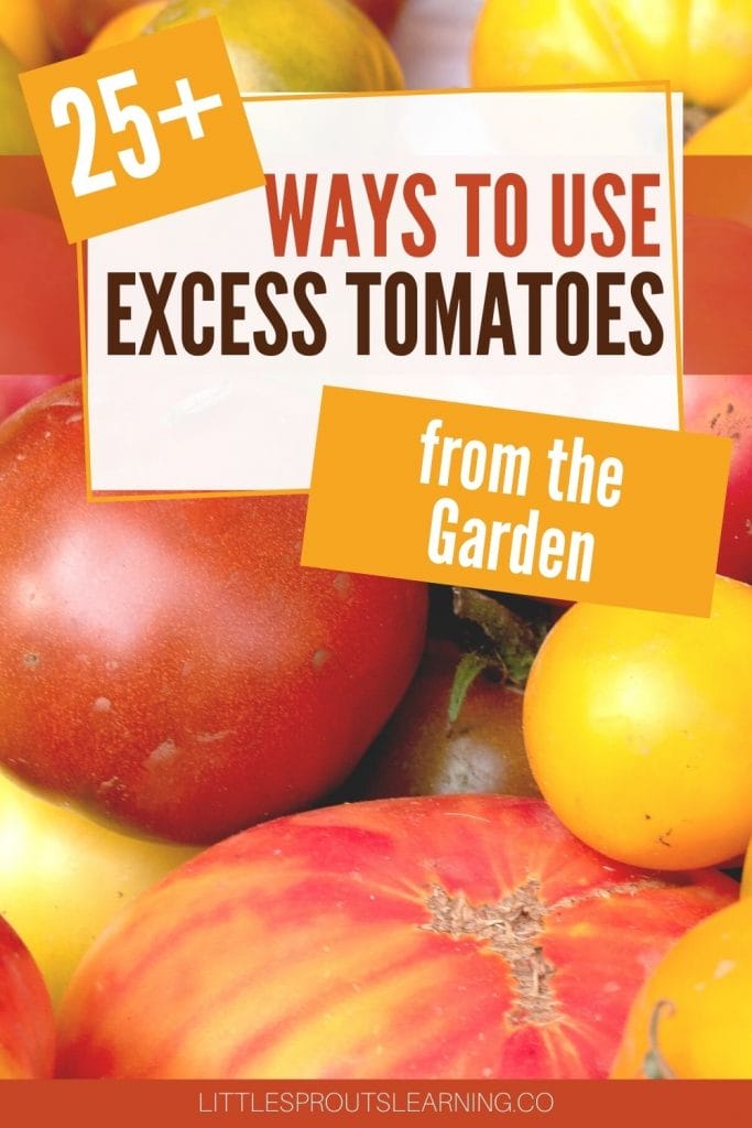 Pile of tomatoes in every shape and color