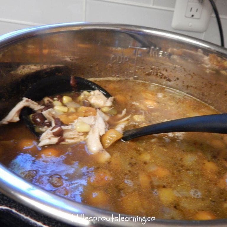 Are you in love with your instant pot but need more recipes to use it with? Enjoy these instant pot recipes your family will love!