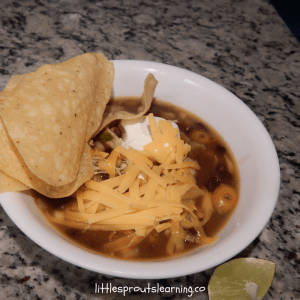 This Instant Pot Chicken Tortilla Soup has rocked my world! Toss a package of FROZEN chicken breasts in the instant pot and have a meal in no time.