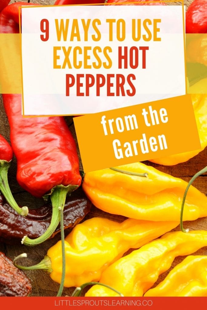 Different kinds of hot peppers laying on a cutting board.